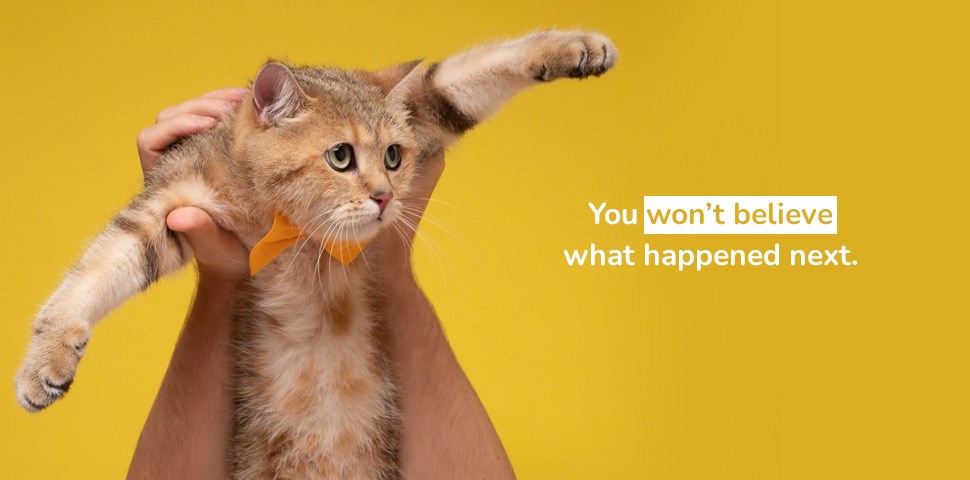 you wont beleive